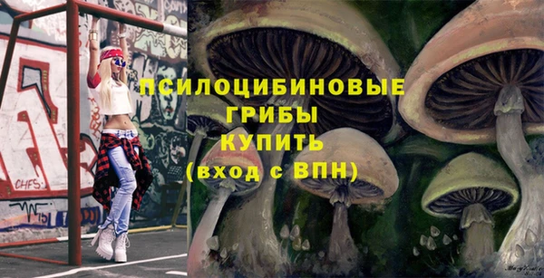 a pvp Корсаков
